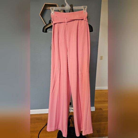 EXPRESS- WIDE LEGGED - PAPERBAG STYLE PANT- LIGHT PINK 4R - Picture 2 of 4